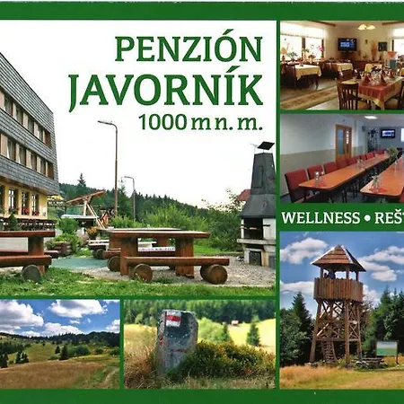 Гостевой дом Javornik